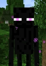 Enderman -Crossover-