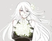 A2 