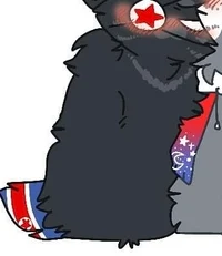North Korea Cat