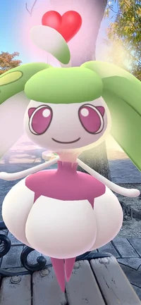 Steenee 