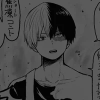 Shoto Todoroki