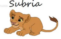 Subria cub