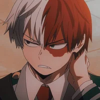 Shoto Todoroki 