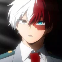 Shoto Todoroki