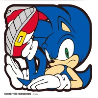 014 - SONIC SECTION
