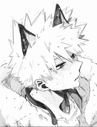 Katsuki Bakugou 