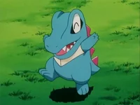 Totodile -Pokémon-