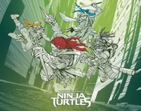 TMNT bayverse