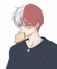 Shoto Todoroki 