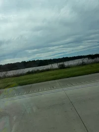 Cowboy butcher Wally