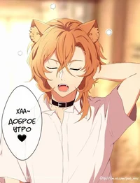 Чуя Накахара - dog