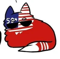 USA Cat