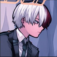 Shoto Todoroki 