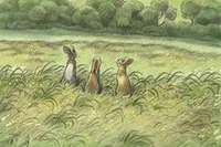 Watership Down