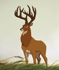 Adult Bambi_Disney_