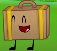 suitcase