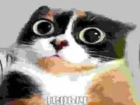 025 - Spoiled Sister