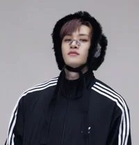 Bangchan wolf hybrid