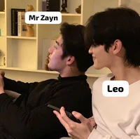 Mr Zayn dan Leo