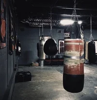BL - Boxer