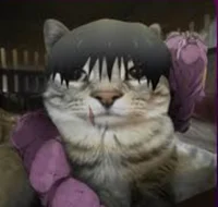 Toji as a cat