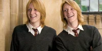 Weasley twins