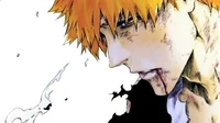 Kurosaki Ichigo 