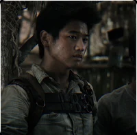 Minho - Maze Runner