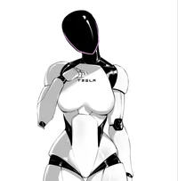 Tesla robot