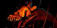 Zoochosis