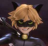 Chat Noir