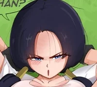 DBZ Videl