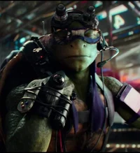 Don - Bayverse TMNT