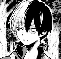Shoto Todoroki
