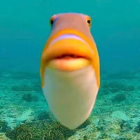 fishy