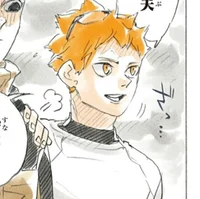 Shoyo Hinata