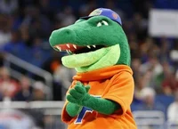 Albert Gator