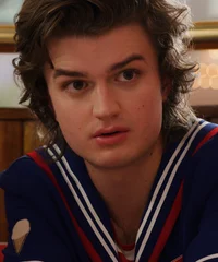Steve Harrington 