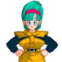Bulma Brief