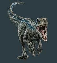 Rapter 