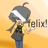 Janitor feilx