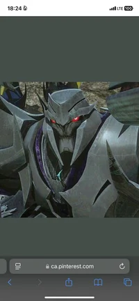 Megatron -TFP-