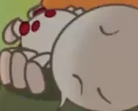 Heidi Hairylegs 