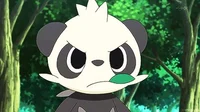 Pancham BF