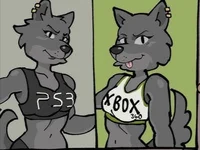 PS3 and Xbox wolf