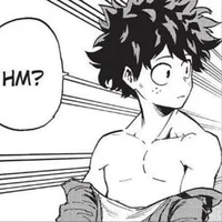 Izuku Midoriya 
