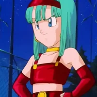 Bulla Briefs
