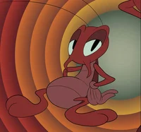 Rocky the roach