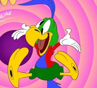 Kookoo the macaw