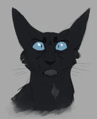 Crowpaw